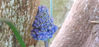 Picture of Muscari 'Blue Spike'