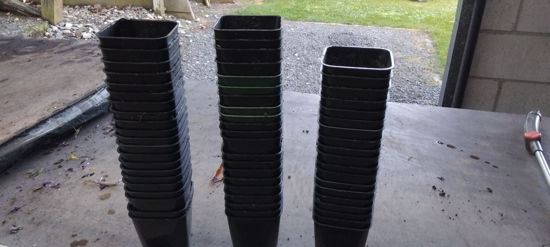 Picture of 9 cm square pots - 60 pots, Seconds, ex RX Plastics