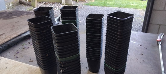 Picture of 9 cm square pots - 120 pots - ex RX Plastics design.  Seconds.
