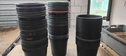 Picture of Pots - 50 six litre