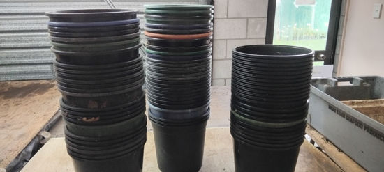 Picture of Pots - 50 six litre