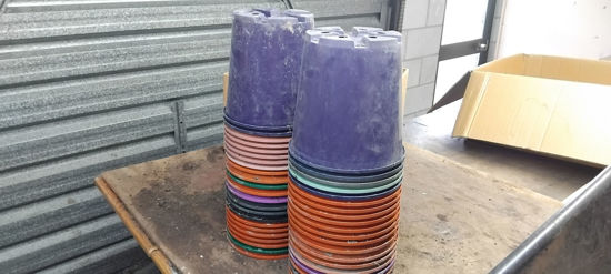 Picture of Pots - 46 4.7 litre pots.